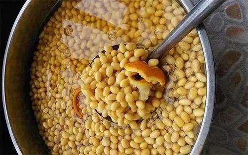 绿萝浇黄豆水的正确方法,绿萝用黄豆水来做肥料真的很好吗