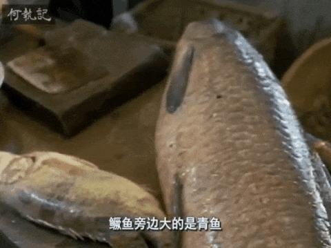 日本人35年前拍的中国美食纪录片，凭什么豆瓣9.2？