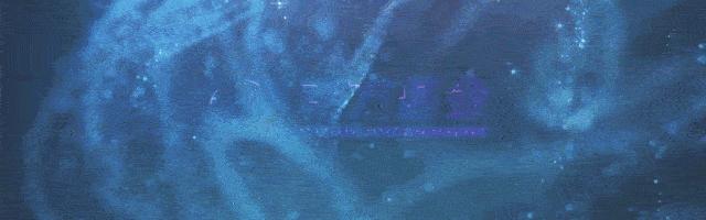 晨星奖得主何康：依托平台力量，为客户提供长期稳健收益