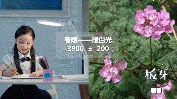 最好用的高性价比台灯推荐,性价比高的台灯推荐