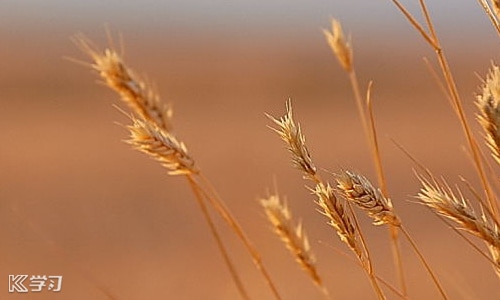 大学生职业生涯规划书免费模板ppt,个人职业生涯规划书模板范文