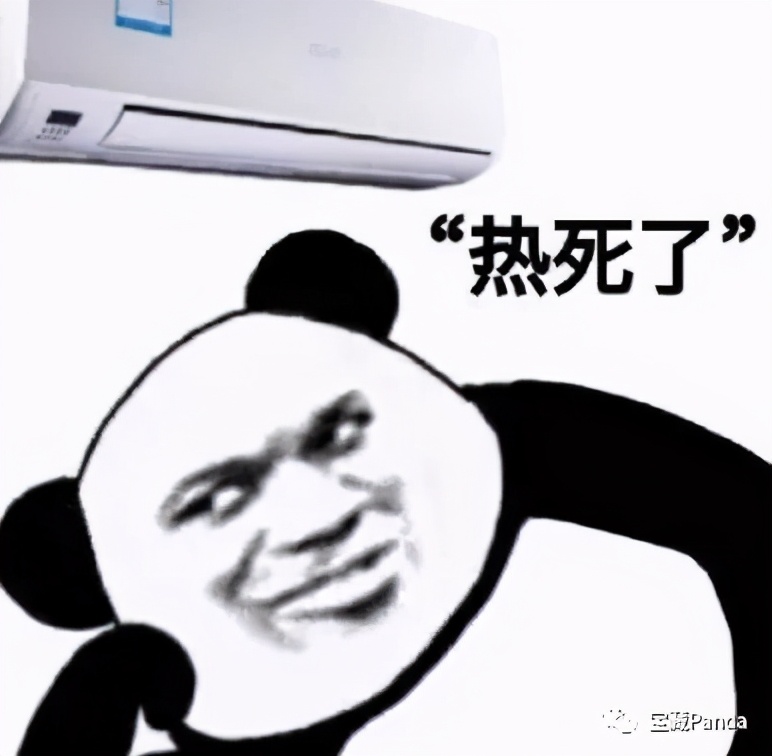 龙眼菩提四眼,龙眼菩提好还是凤眼好