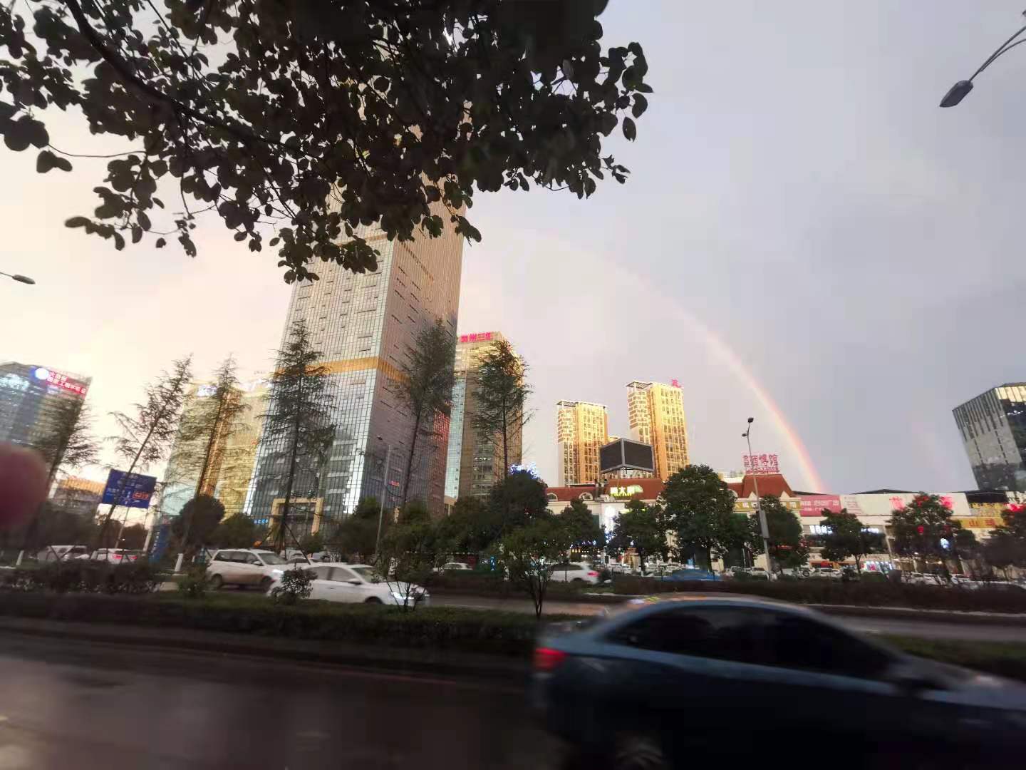 求职贵阳程序员,贵阳程序员前景