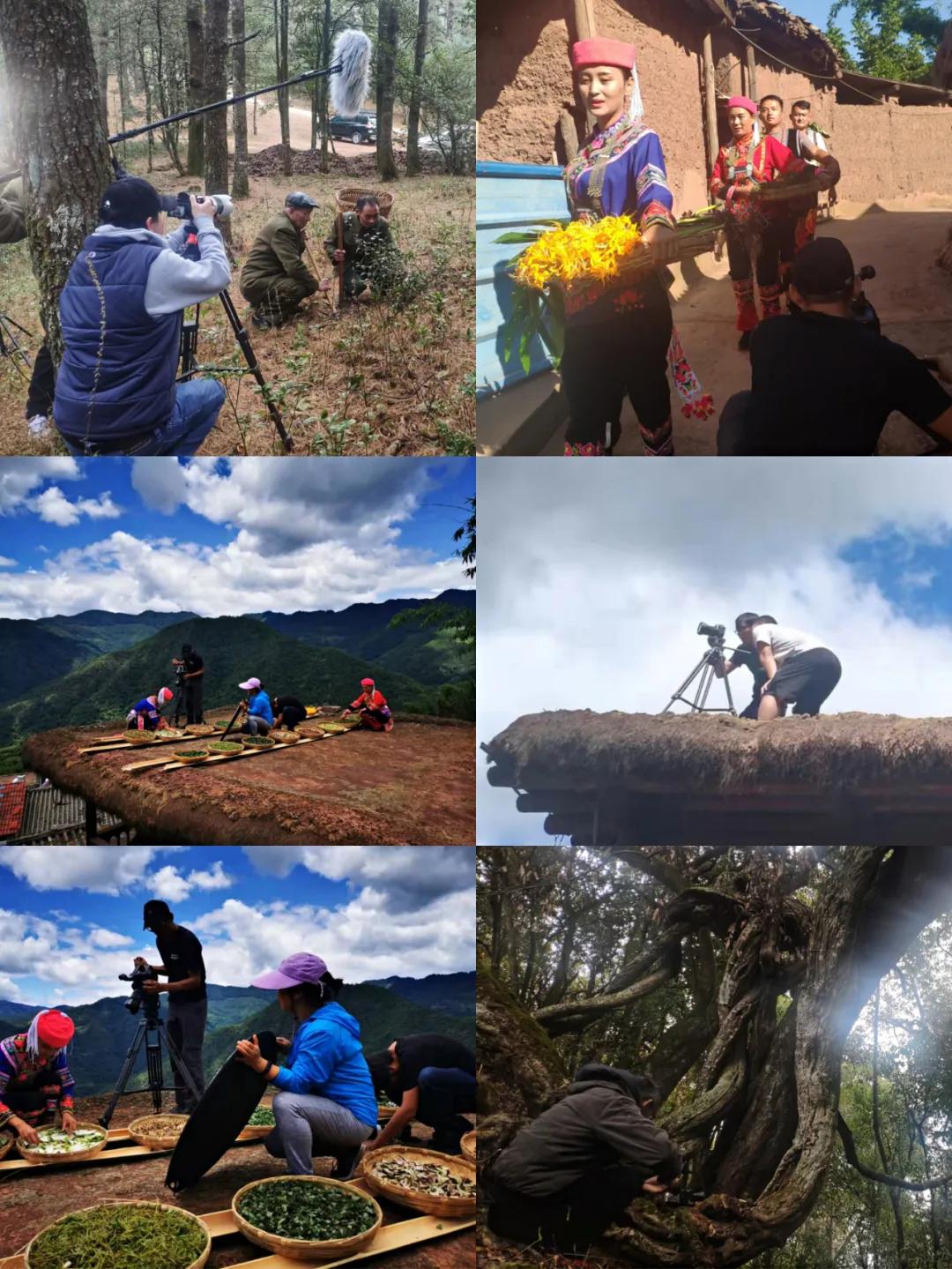 人有些啥病,民间神奇彝医真实故事