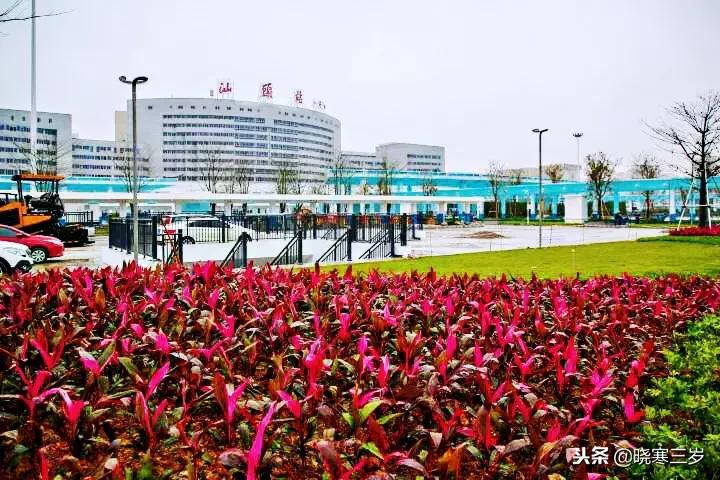 广深的潮汕吃货们开心了,官网已上线汕头站1月5号动车票信息