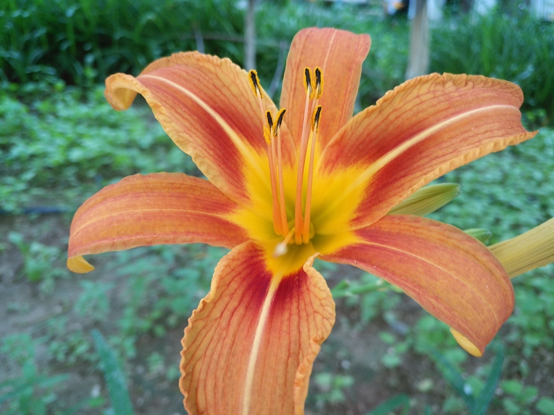 函数y=logax2的定义域是多少,函数y=log2x+1的定义域