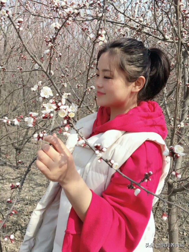 中药治疗腺肌胃炎配方,治疗腺肌胃炎的药有哪些