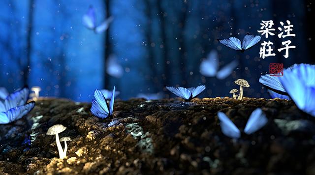 梁冬人生处处见生机,梁冬人生意义