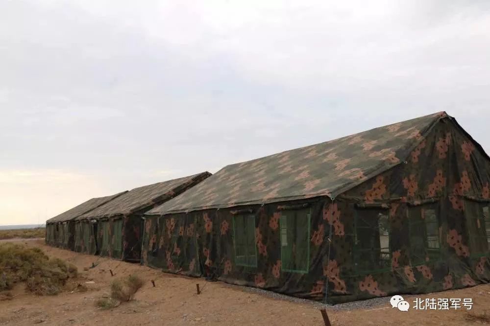 我是*用军**帐篷佩奇！一起来认识我的家族成员吧！