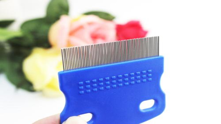 怎么样防治跳蚤最有效,怎么防治跳蚤