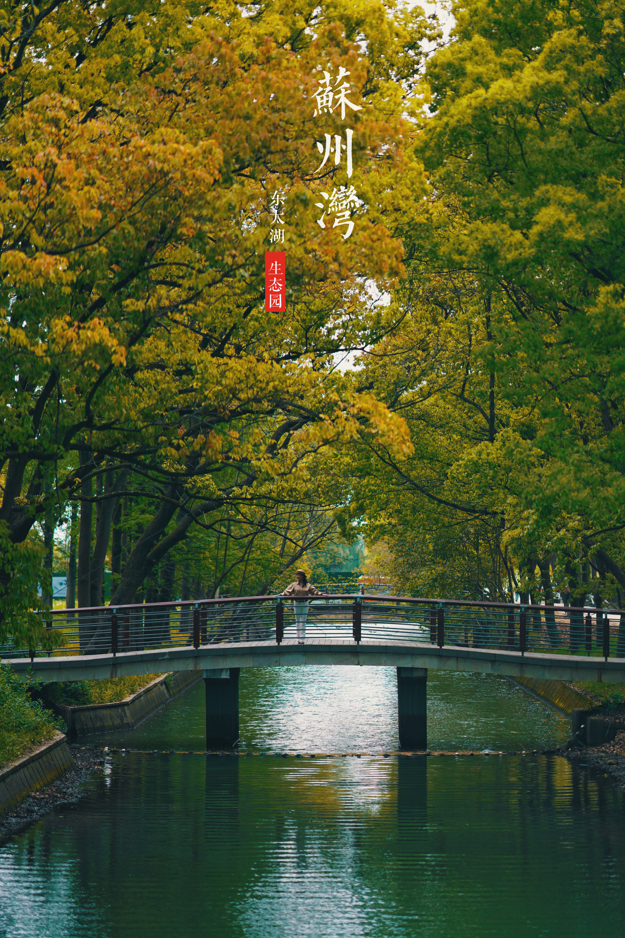 苏州特色民宿推荐,苏州最有特色民宿推荐