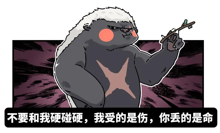 非洲大地最狂动物，动物园里连狮子毒蛇都有，偏偏没有它平头哥