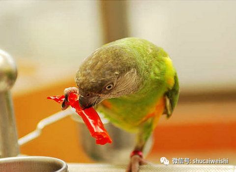 干辣椒为啥这么辣,揭秘辣椒看起来很辣