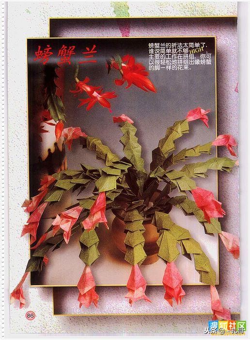 折纸大全方便又漂亮又实用,精致实用的折纸大全步骤