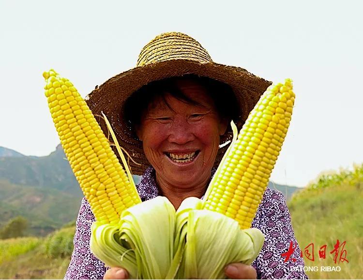 小康圆梦|电商配玉米，迎来“新”滋味
