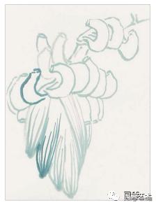 芭蕉叶画法教程,国画芭蕉画法视频