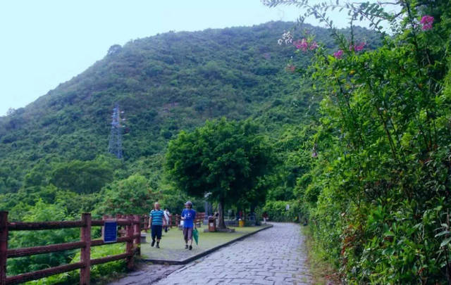 濮阳最大的草坪公园,濮阳龙湖附近千亩湿地公园