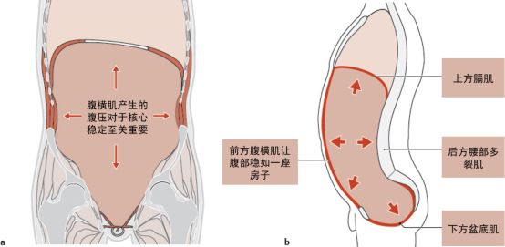 鑻忕偝娣诲惞姘旂悆鑵瑰紡鍛煎惛,鑻忕偝娣诲惞姘旂悆鑵瑰紡鍛煎惛瑙嗛