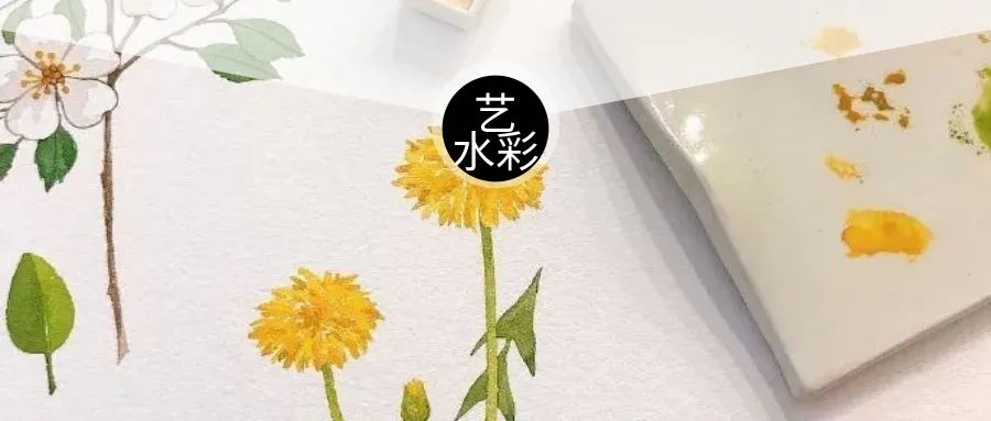 水彩画初学者的技巧和方法,画水彩需要注意的20点