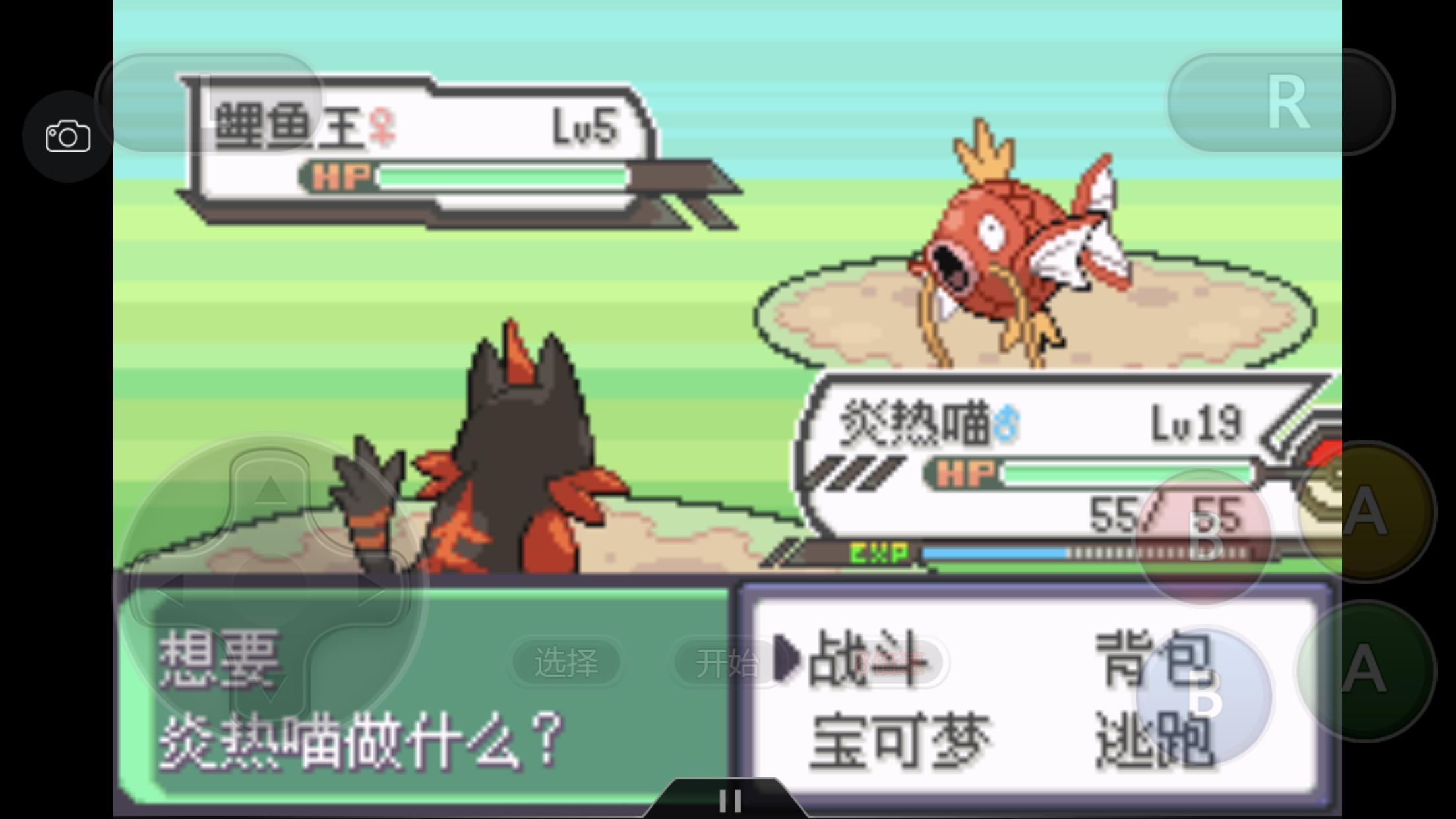 究极绿宝石4一周目攻略图文,究极绿宝石4小智一周目攻略图文