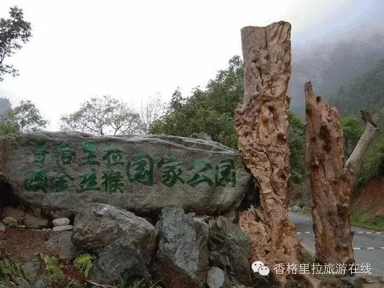 丽江去香格里拉路途中有什么景点,丽江到香格里拉走214国道打卡景点