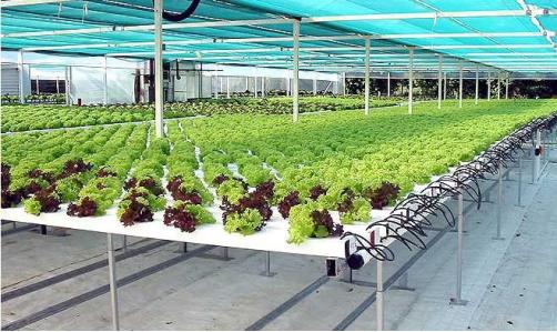 云南云天化农业,云天化农业项目