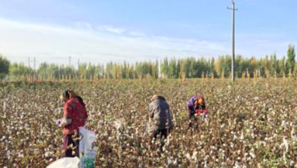 国货毛巾品牌,创业7年一路走来