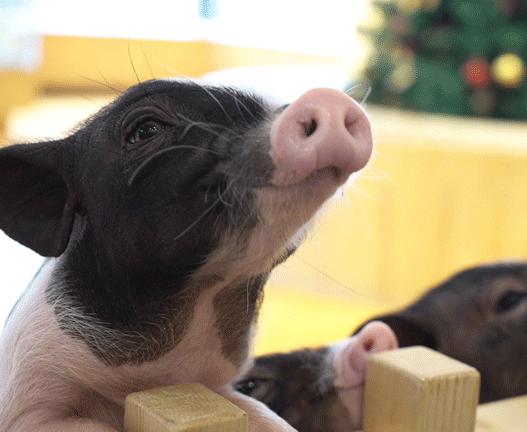 全国新开店铺,值得打卡的全国首店