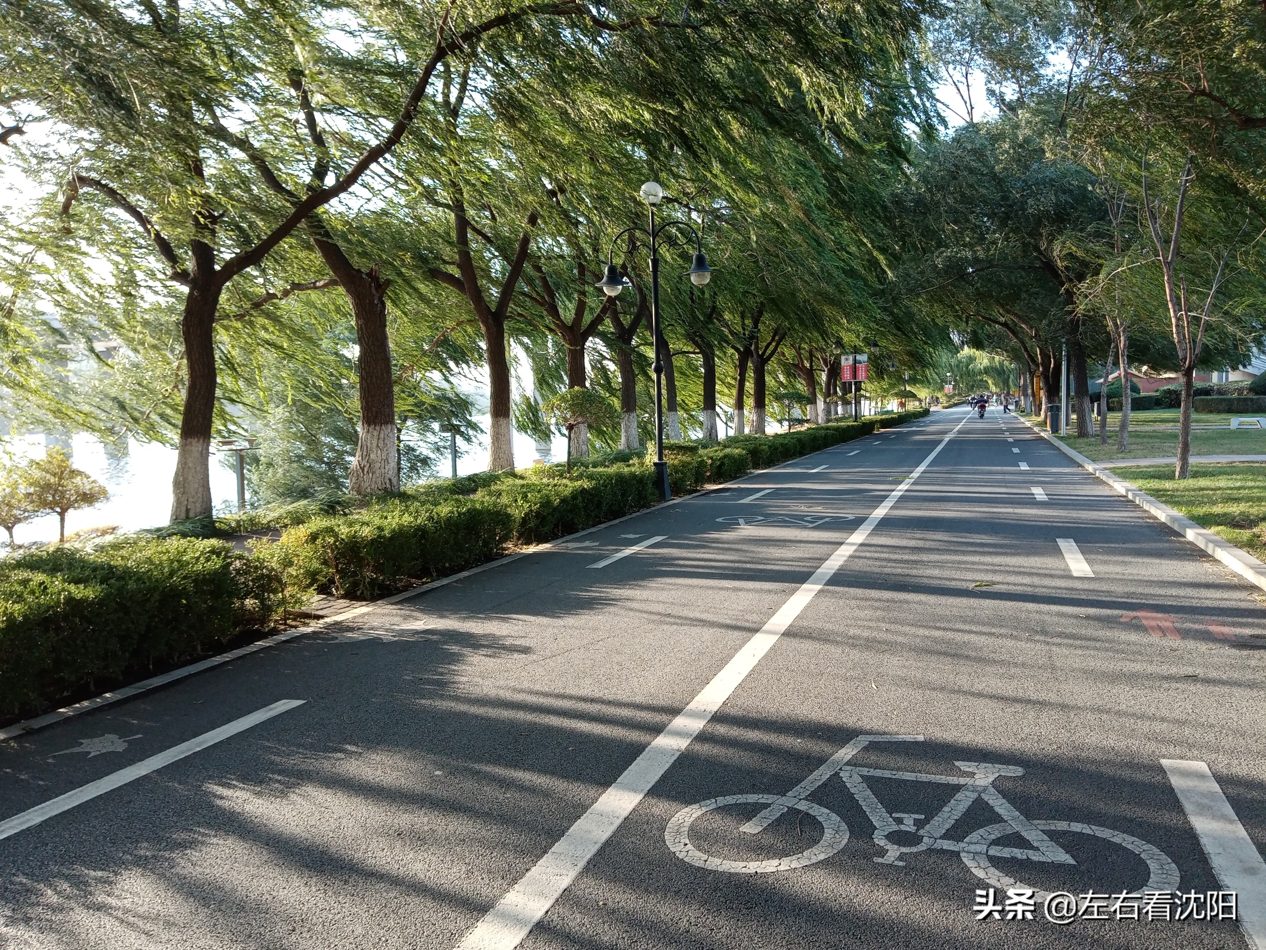 沈阳沈水湾公园看日出,沈阳浑河看海的地方