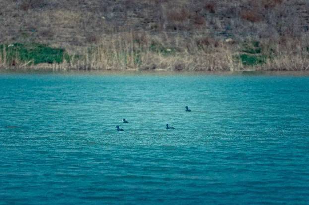 阎良石川河秋日美景,阎良最美石川河
