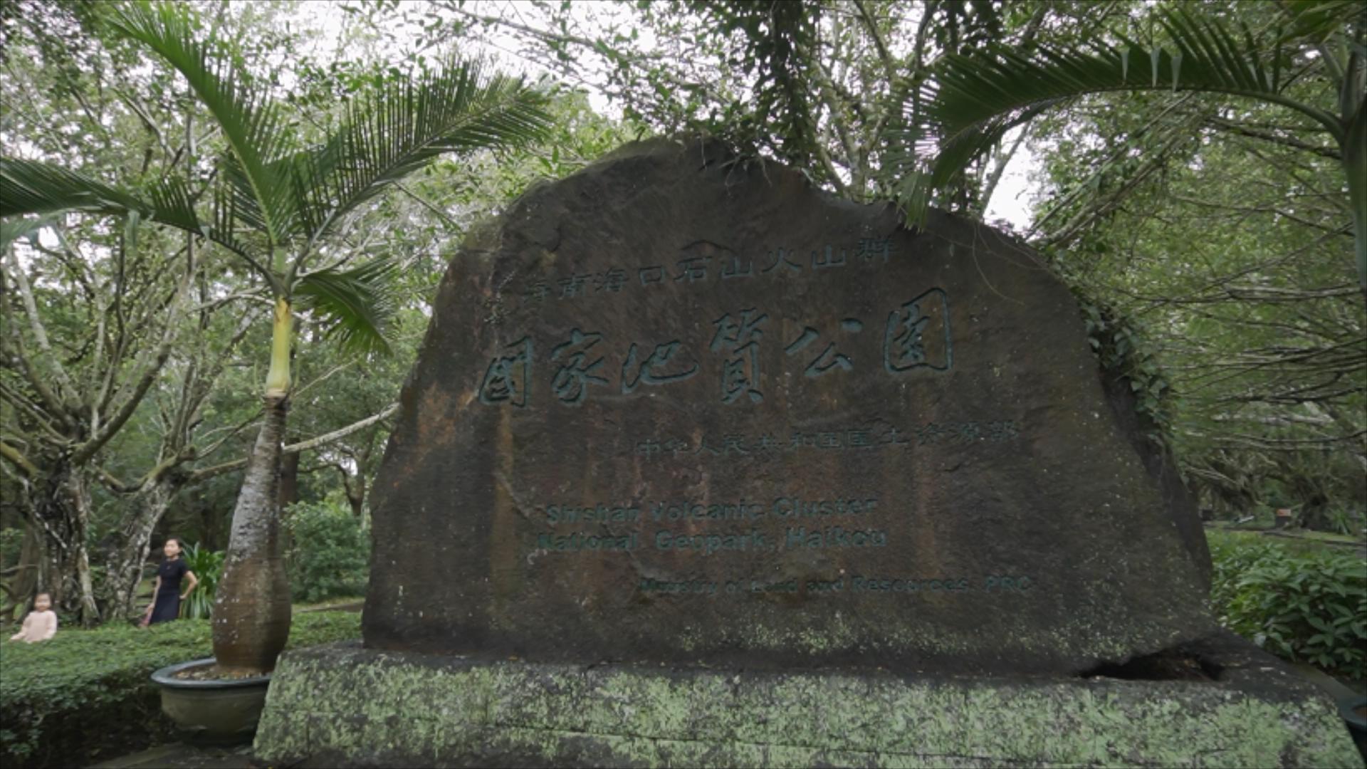 逐梦自贸海动椰城,逐梦海口嗨动椰城