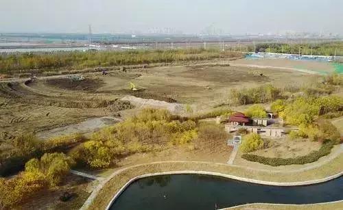 住在滨海的人有哪些,住海边的人怎么样了