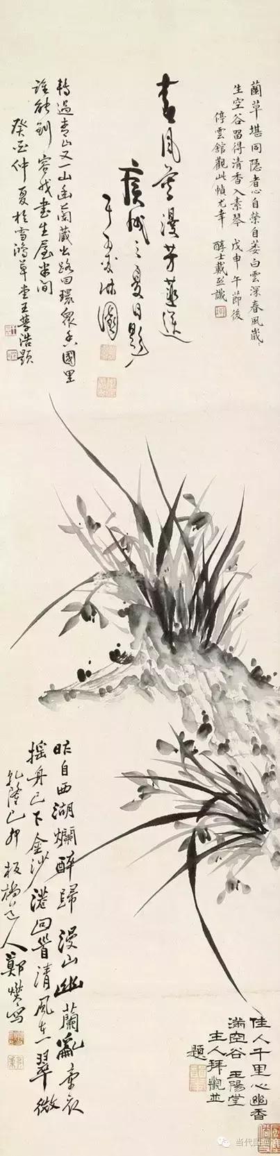 郑板桥画的是兰花还是兰草,郑板桥画的兰