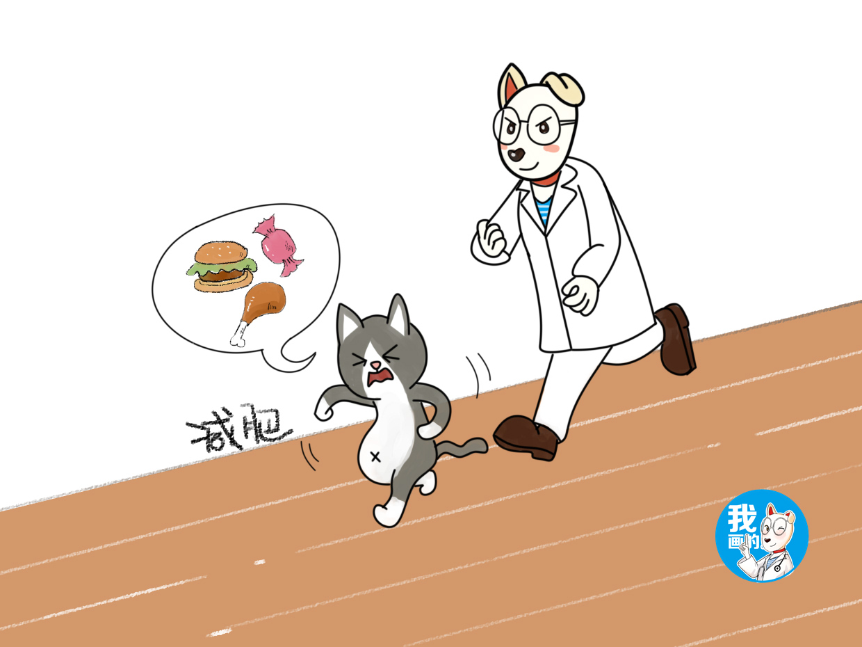 猫咪打呼噜声音很大怎么回事,猫咪为何会有打呼噜的声音