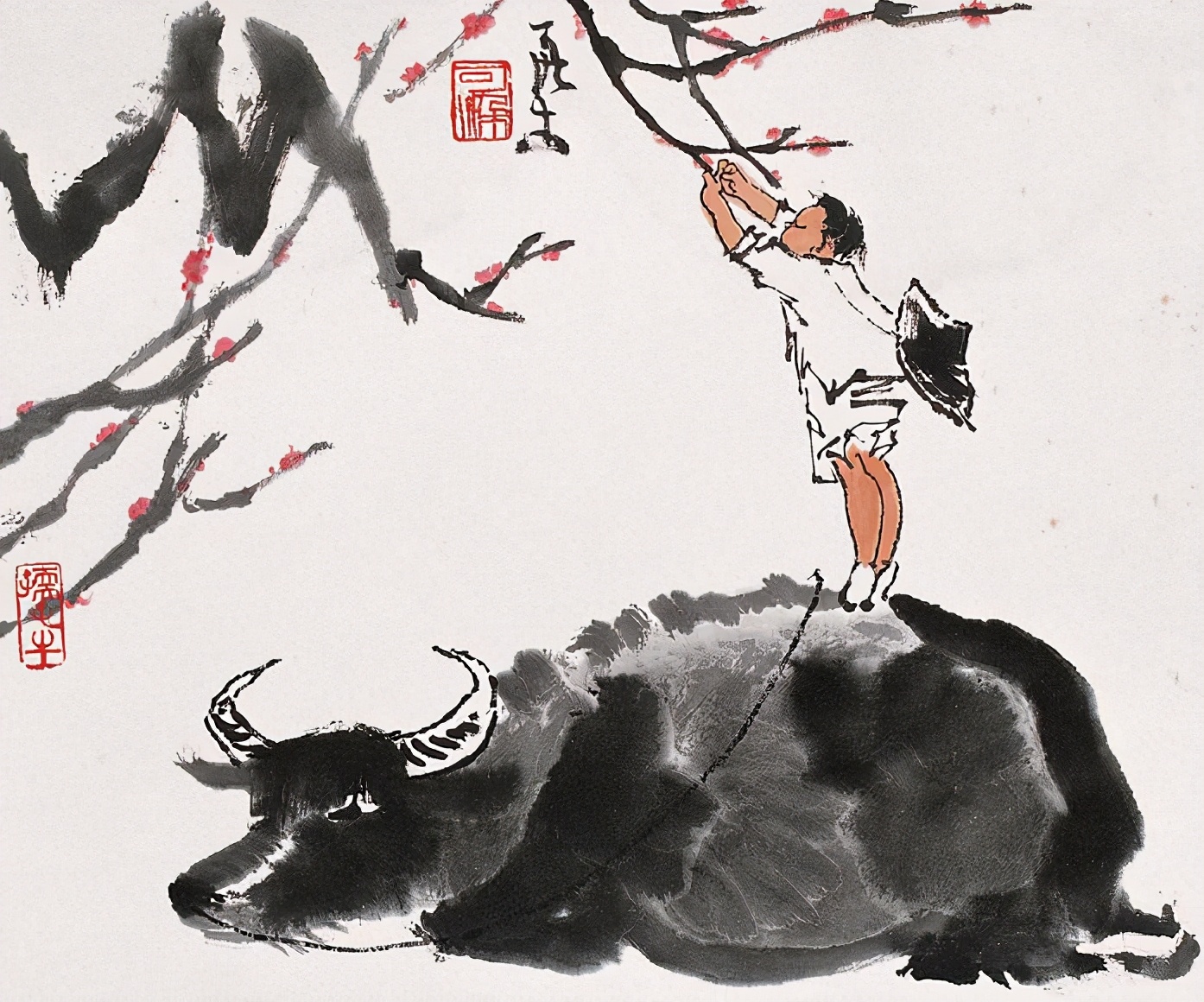 怎样去欣赏一棵罗汉松的美呢,如何欣赏一棵松树盆景呢