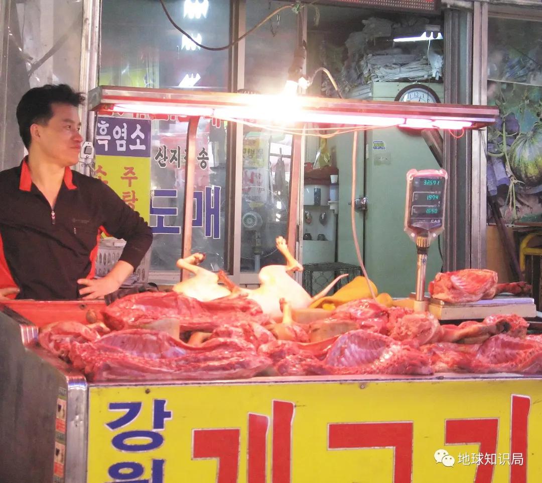 正宗朝鲜烀大块狗肉方法,朝鲜狗肉