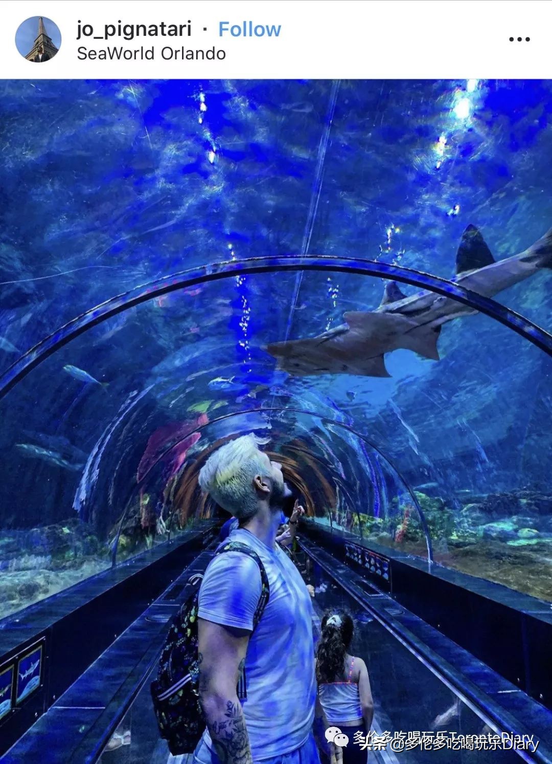 有加拿大签证可以去澳大利亚吗,加拿大护照旅行