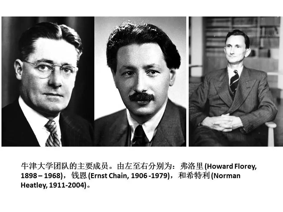 青霉素发明者的故事动画,青霉素的发明过程简介