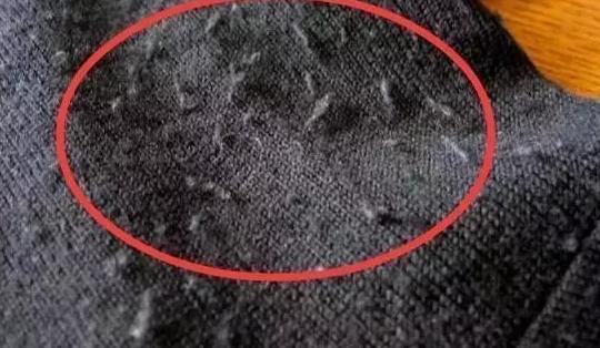 衣服上的毛絮怎么洗掉,衣服洗完好多毛毛如何去除