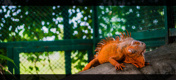 深度玩转泰国攻略,泰国游国际漫游