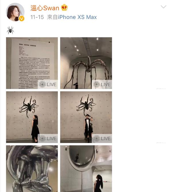 深大校花事件处理结果,深大校花事件