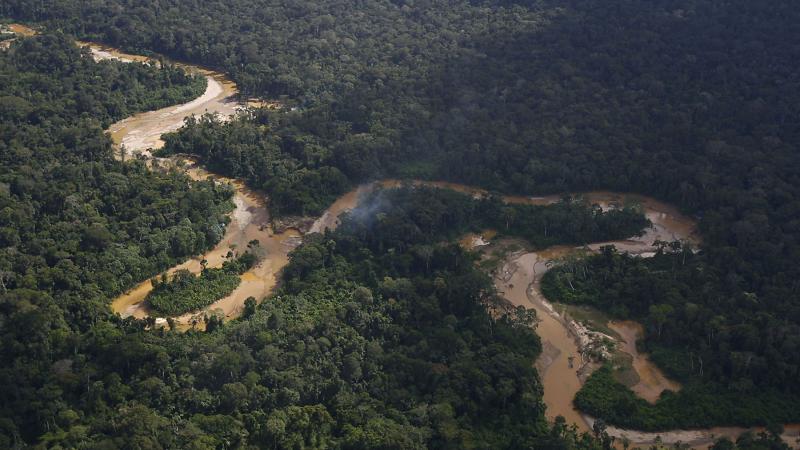 美洲绿水蚺美洲虎,美洲虎捕杀绿水蚺