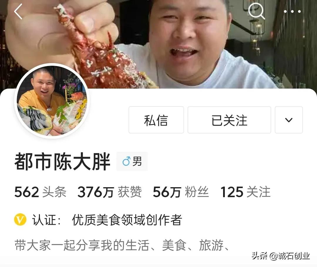 美食自媒体前十名,美食自媒体创业视频教程