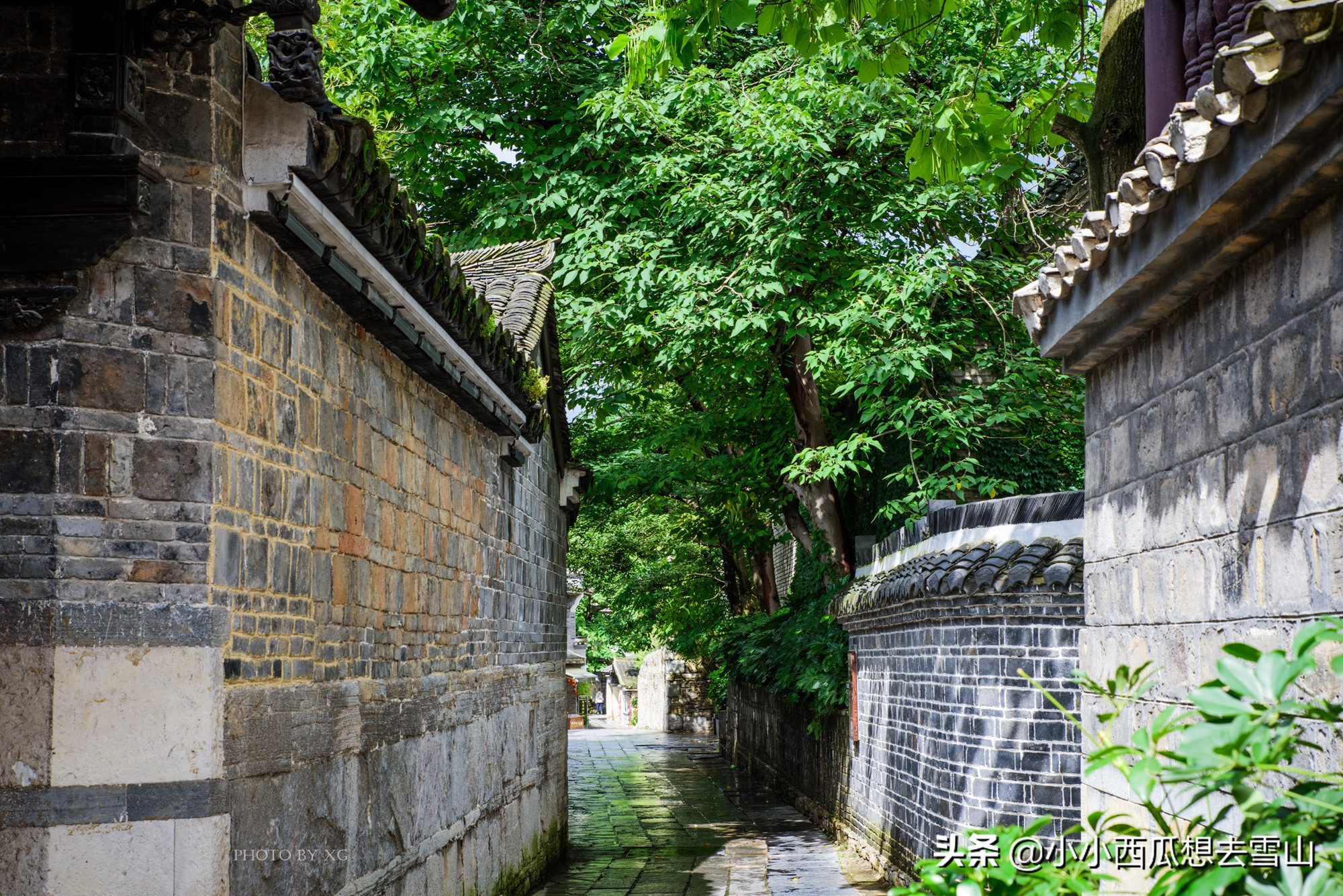 贵阳5元门票景区,贵阳5a景区免费吗
