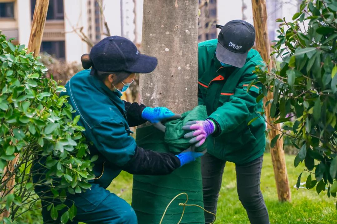 物业如何让房屋保值增值,一个好的物业对小区有多重要