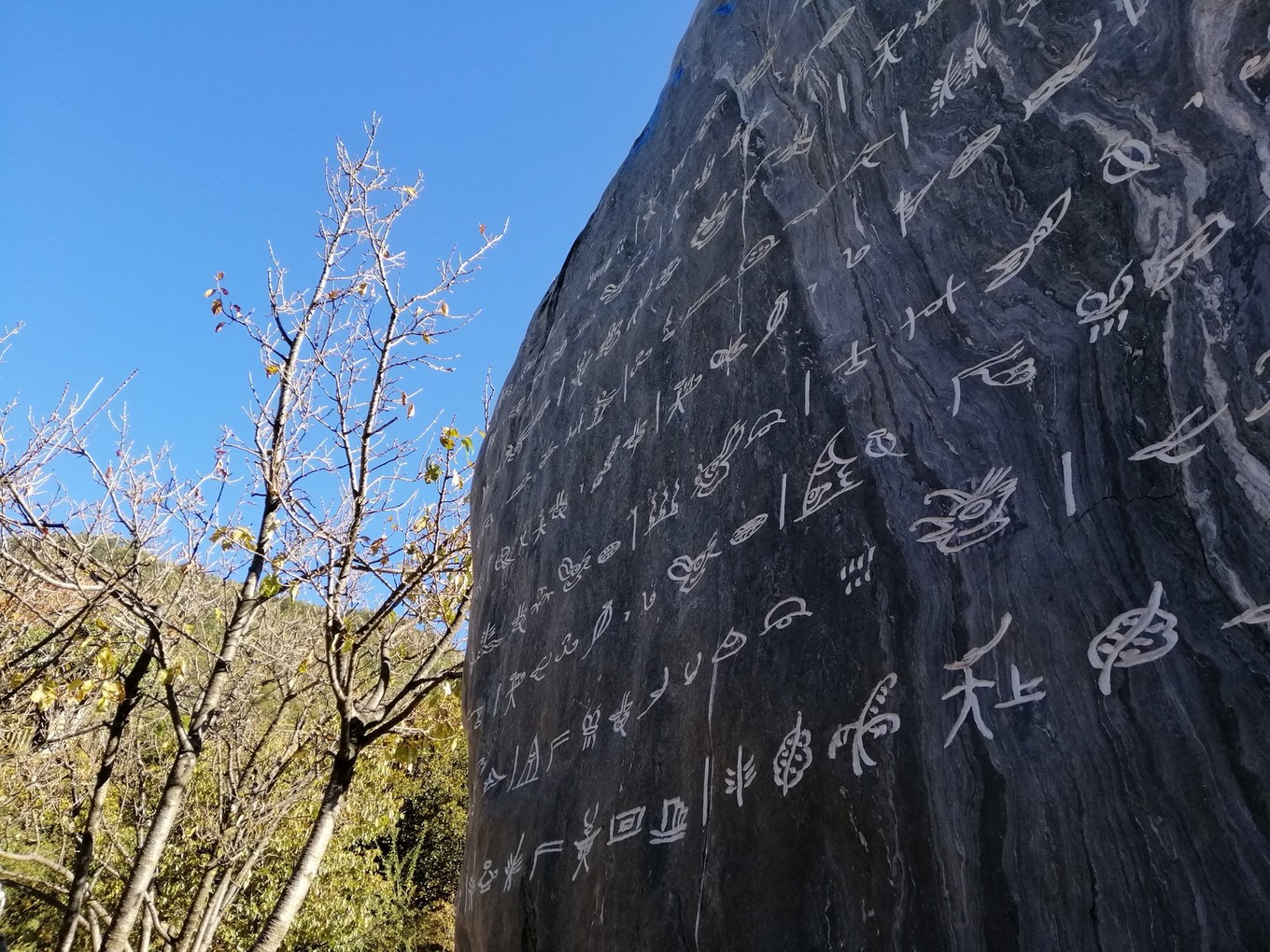 云南六日五晚免费游,云南五天四晚一人游