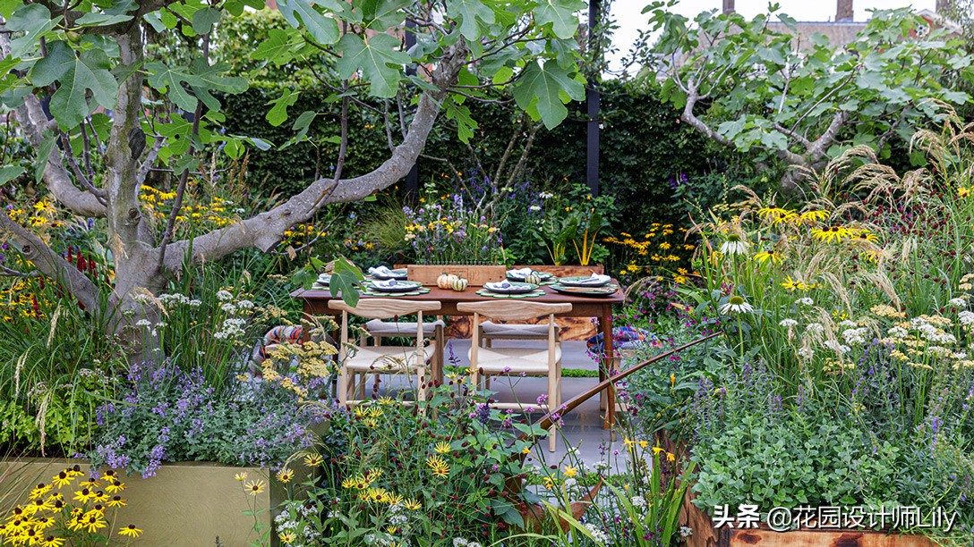 2023年切尔西花展各个花园的介绍,切尔西花展最佳花园
