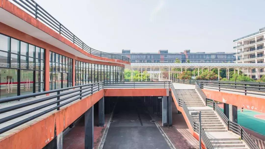 中国美院到底有多厉害,美院出来的学生都很厉害吗