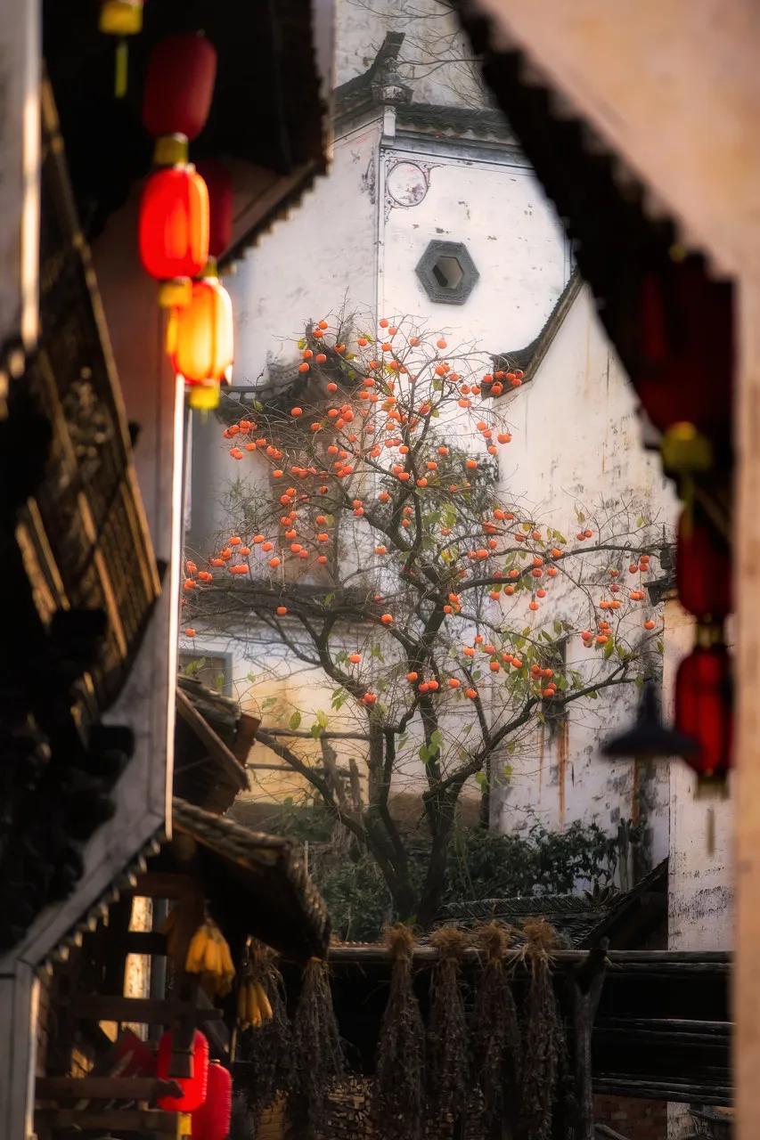 这才是中国最美的乡村,最值得去的鲜花小镇