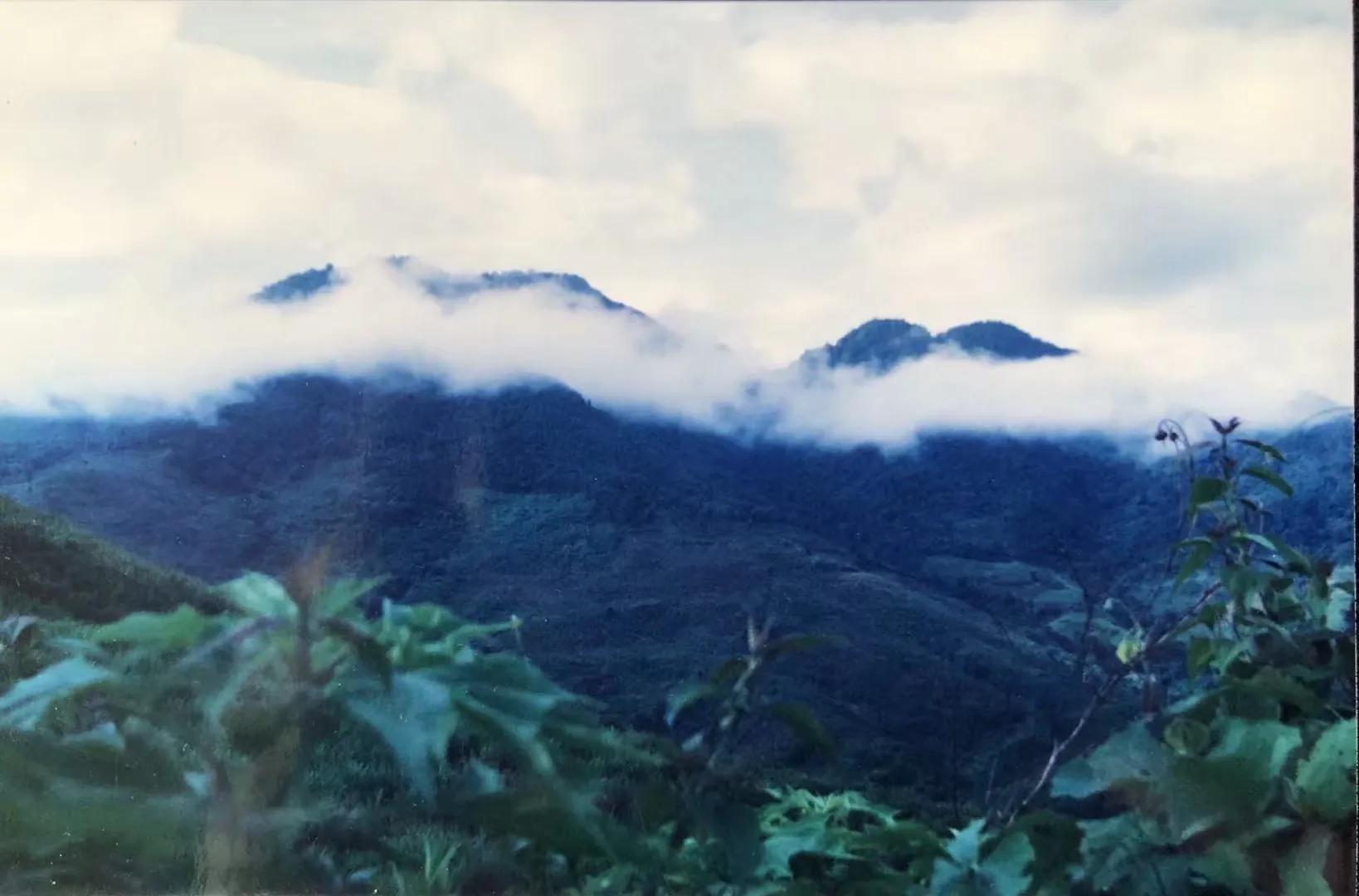 神秘金三角完整版,神秘的金三角邪与正